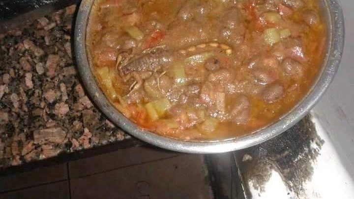 عقرب بطبق الفول