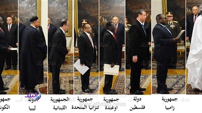 الرئيس عبد الفتاح السيسي