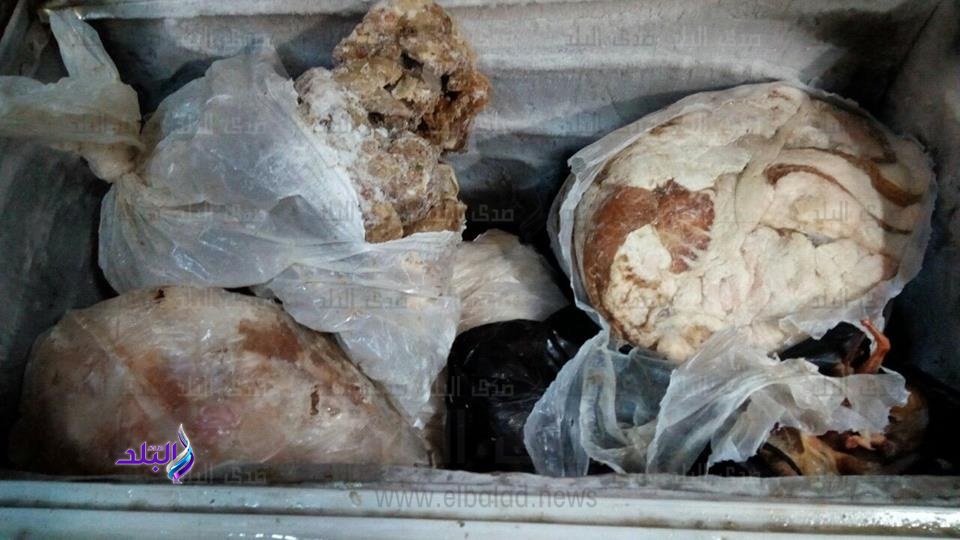 ضبط 7.5 طن لحوم فاسدة معدة لـ«الحواوشي» بالمعصرة..صور ضبط 7.5 طن لحوم فاسدة معدة لـ«الحواوشي» بالمعصرة..صور