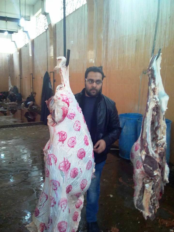 حملات من الطب البيطرى حملات من الطب البيطرى
