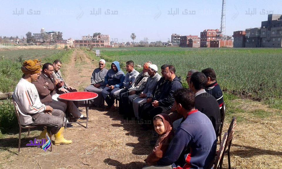 ندوة إرشادية حقلية لمحصول القمح للمزارعين ندوة إرشادية حقلية لمحصول القمح للمزارعين