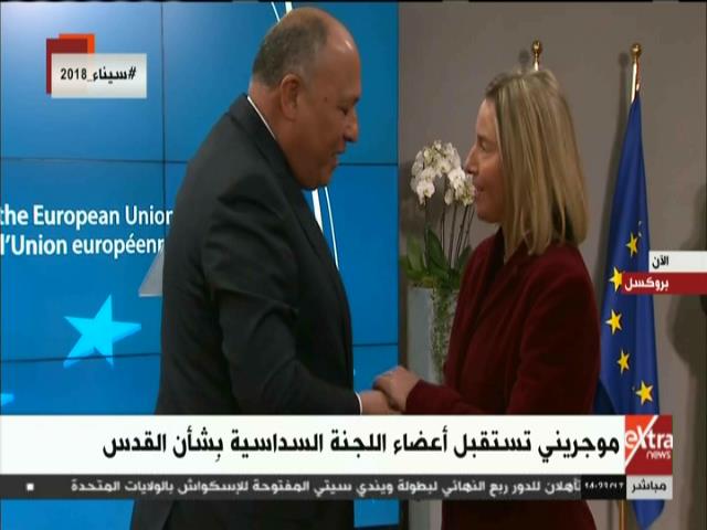 سامح شكري وموجريني