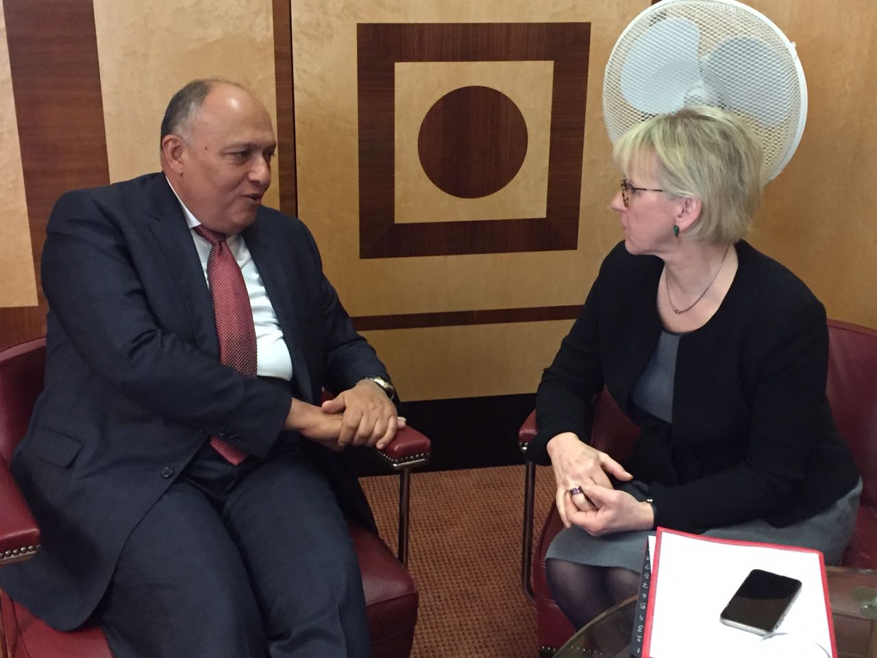 سامح شكري ووزيرة خارجية السويد 