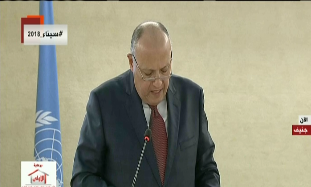 وزير الخارجية سامح شكري