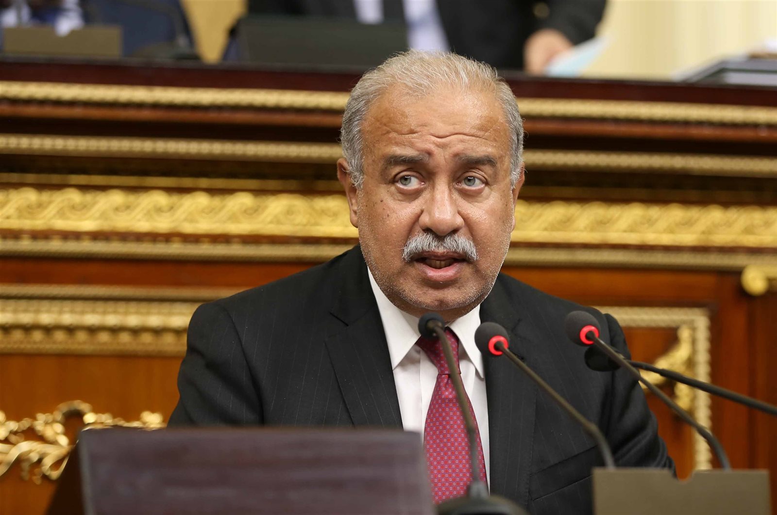 رئيس الوزراء المهندس شريف إسماعيل