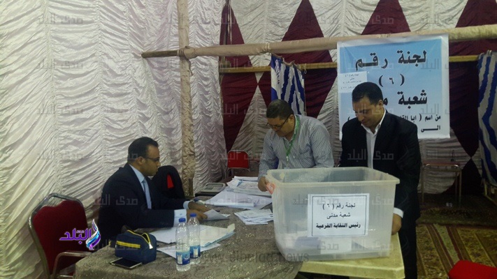 أعمال الفرز بانتخابات المهندسين في أسيوط