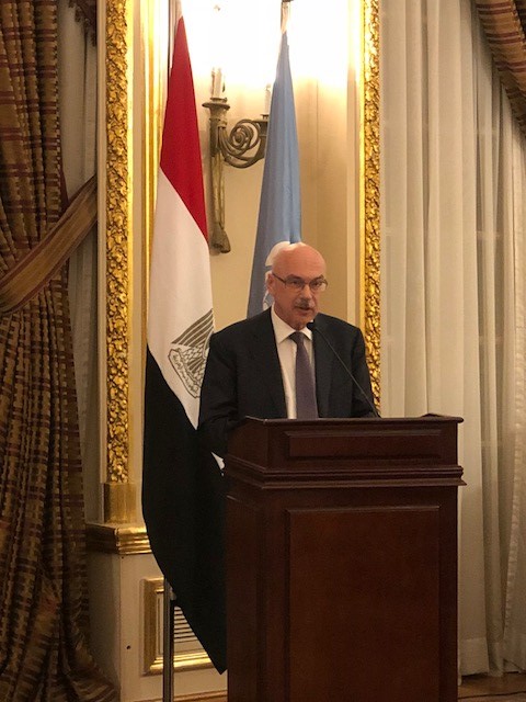 المسؤول الأممى المسؤول الأممى