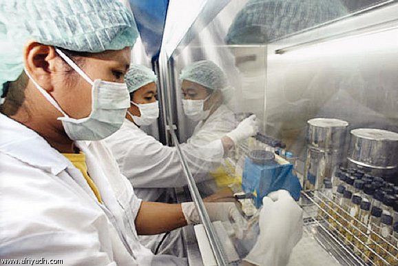 إنفلونزا الطيور