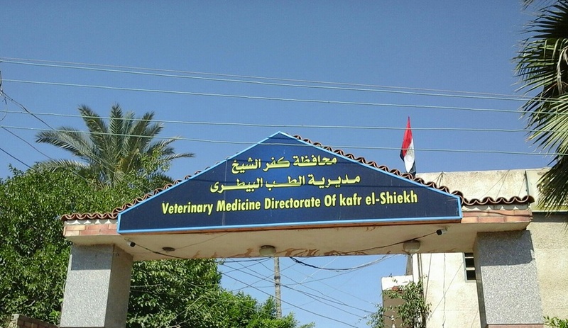 مديرية الطب البيطري مديرية الطب البيطري
