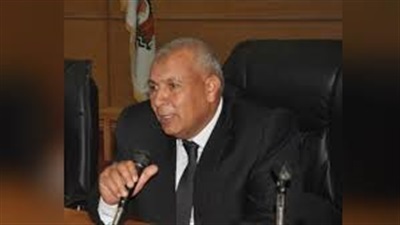 محافظ الوادي الجديد محافظ الوادي الجديد