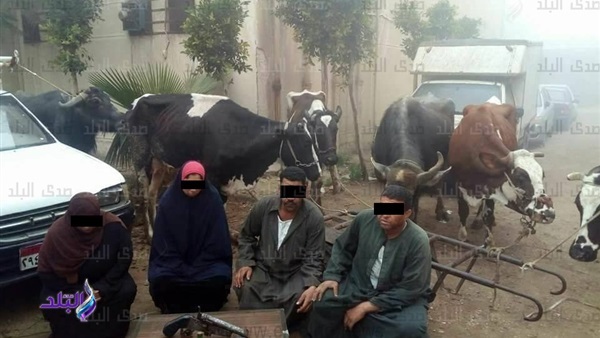 تشكيل عصابي ـ ارشيفيه