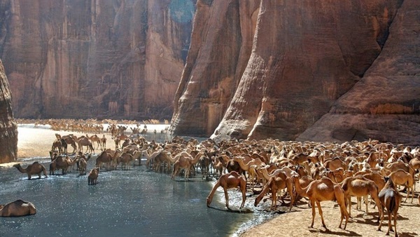  محمية وادي الجمال