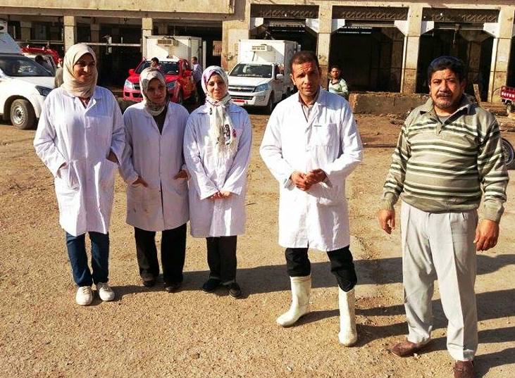 حملات من الطب البيطري علي المجازر