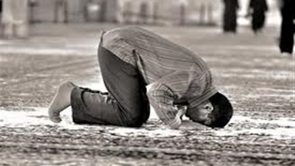 صلاة الشفع والوتر صلاة الشفع والوتر