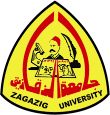 صورة أرشيفية صورة أرشيفية