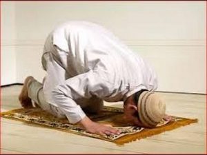 صلاة الوتر صلاة الوتر