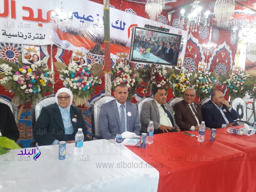  مؤتمر دعم السيسى