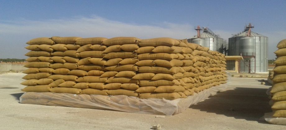 صورة أرشيفية صورة أرشيفية