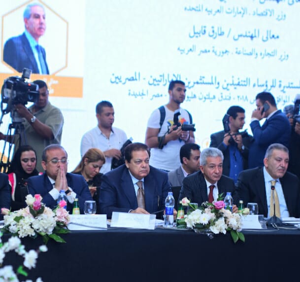 محمد أبو العينين