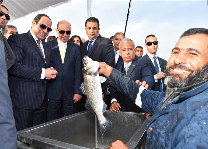 أرشيفية