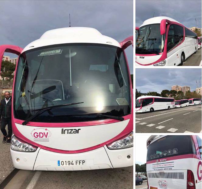 الجالية المصرية بأسبانيا توفر حافلات للناخبين الجالية المصرية بأسبانيا توفر حافلات للناخبين