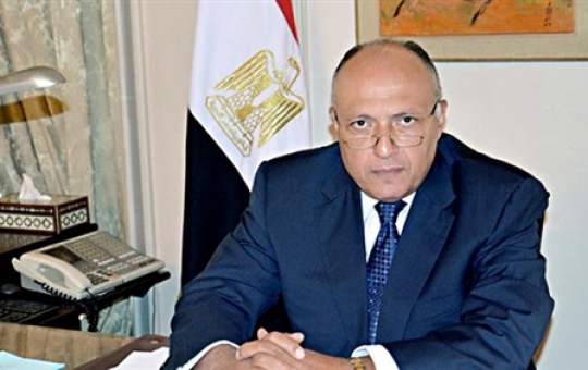 وزير الخارجية سامح شكري وزير الخارجية سامح شكري