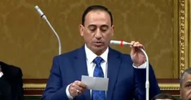 النائب محمد زين الدين النائب محمد زين الدين