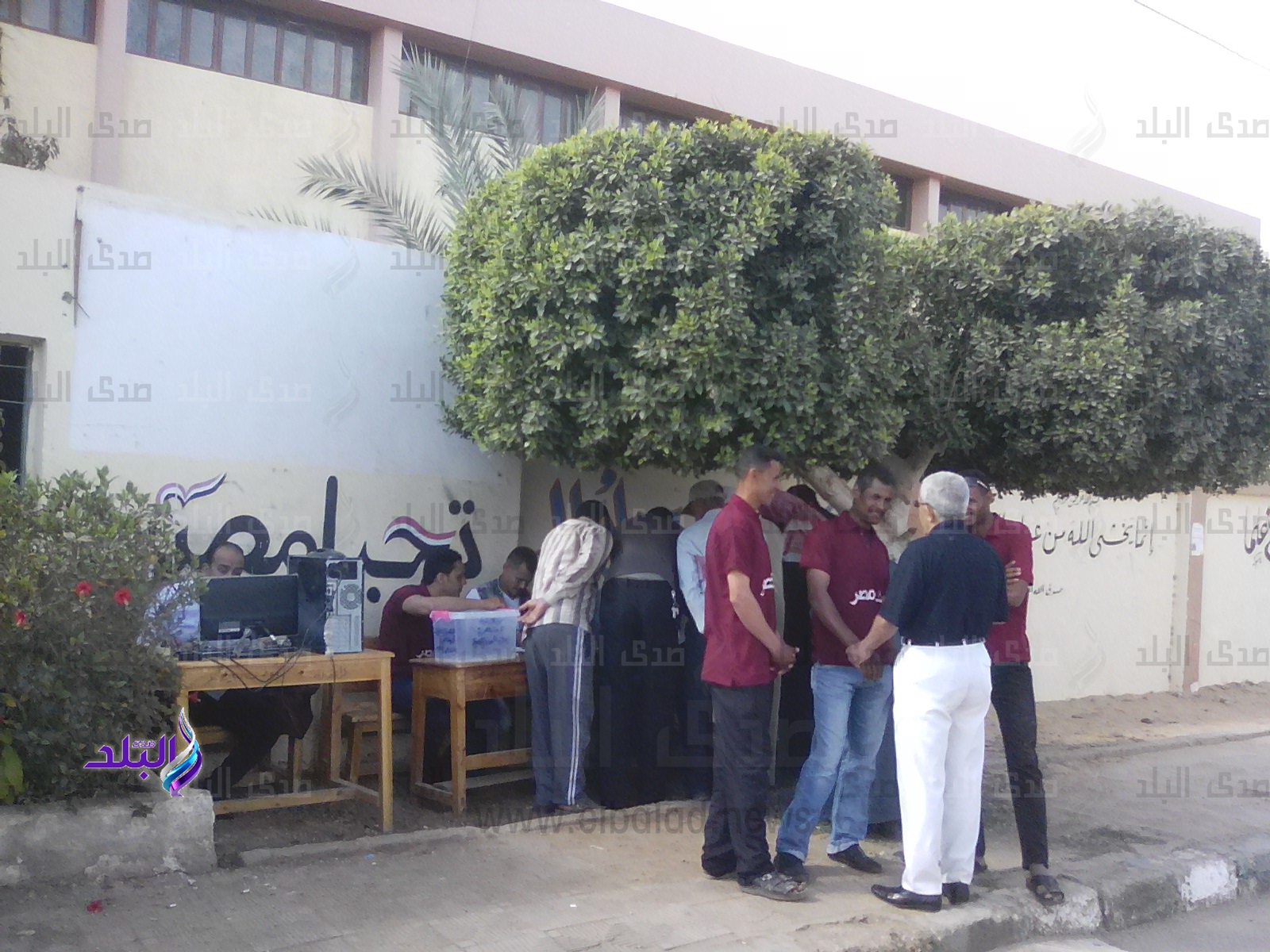 توافد المواطنين على اللجان الانتخابية بالوادي الجديد
