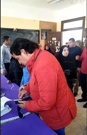 وكيل لجنة الشئون العربية بمجلس النواب