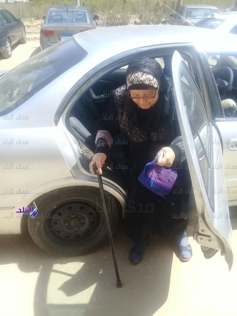 محافظ الجيزة يستجيب لسيدة مسنة ويوفر سيارة لنقلها محافظ الجيزة يستجيب لسيدة مسنة ويوفر سيارة لنقلها
