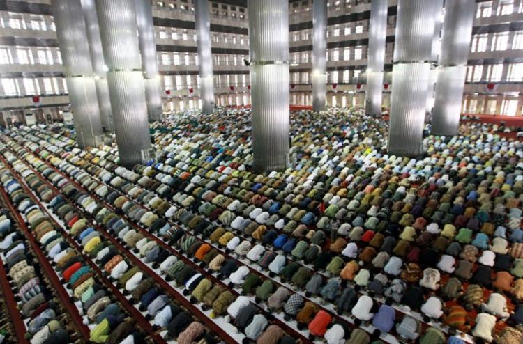 المسلمون يصلون المسلمون يصلون