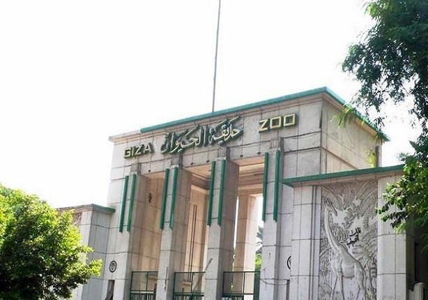 حديقة الحيوان - الجيزة حديقة الحيوان - الجيزة