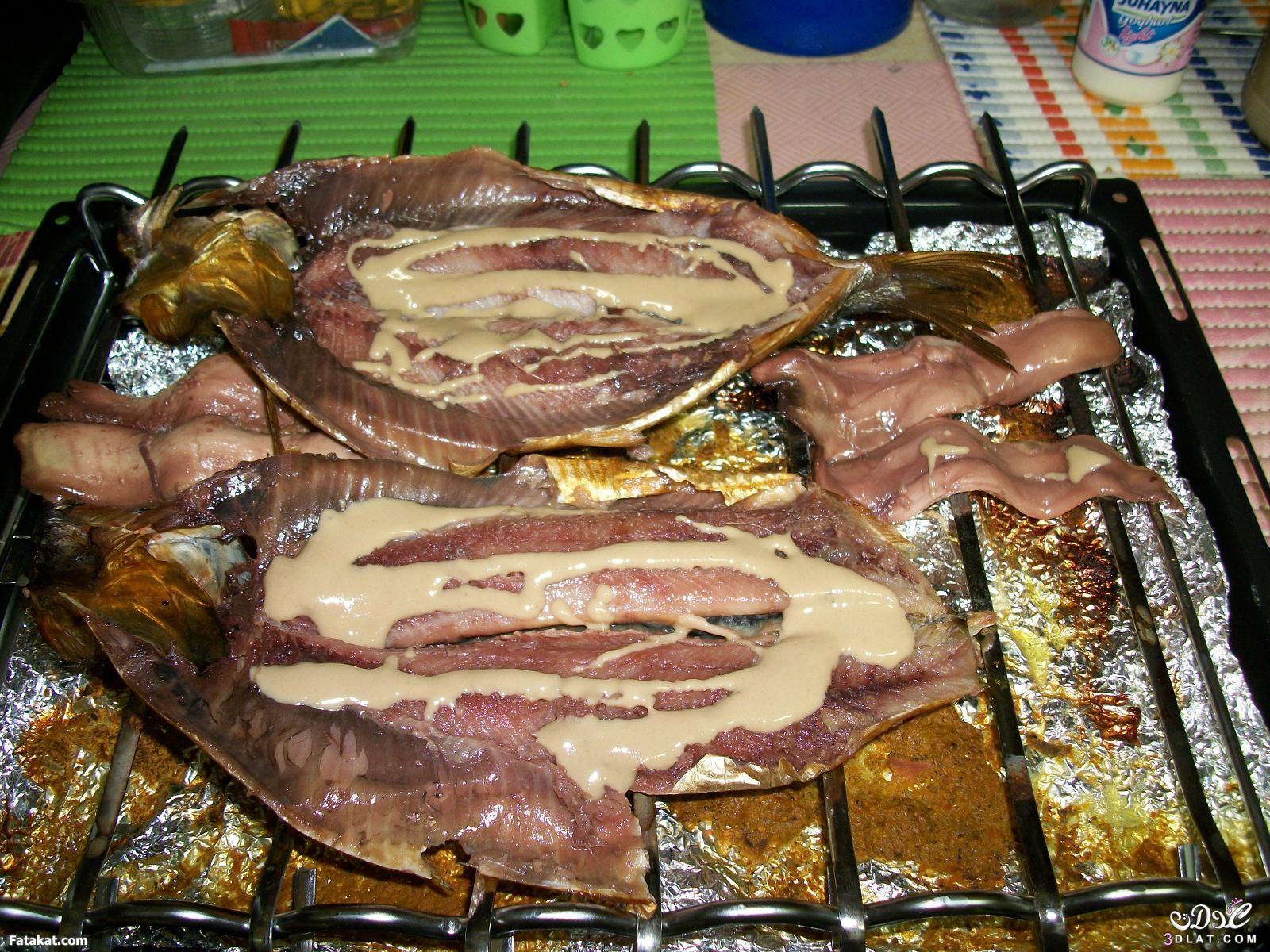  صورة أرشفية 