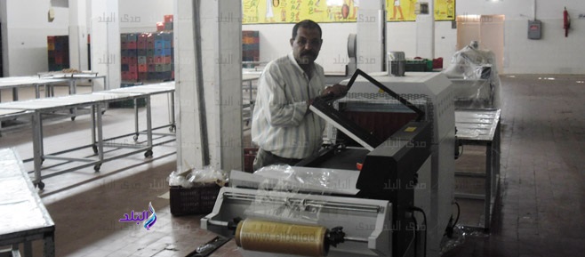 انتاج وتصنيع التمور