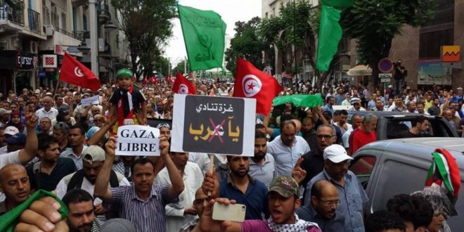 تونس تدين الاعتداءات الاسرائيلية "الغاشمة" على المسيرات تونس تدين الاعتداءات الاسرائيلية "الغاشمة" على المسيرات