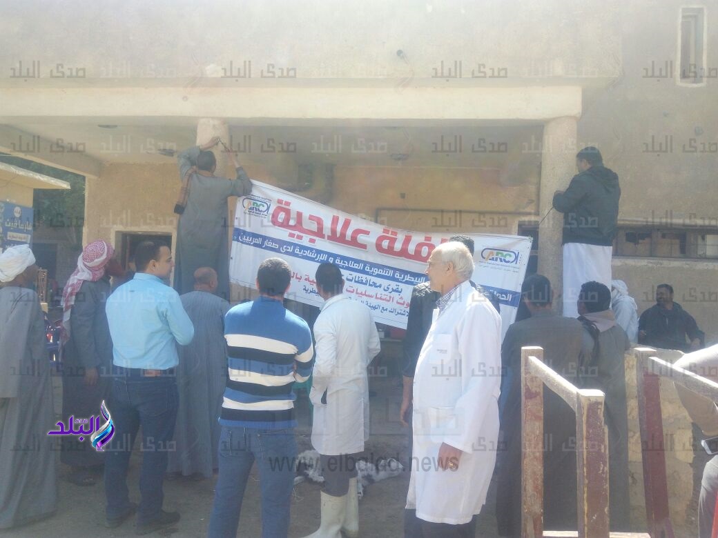 مديرية الطب البيطرى بالفيوم تنظم قافلة علاجية بيطرية مجانية