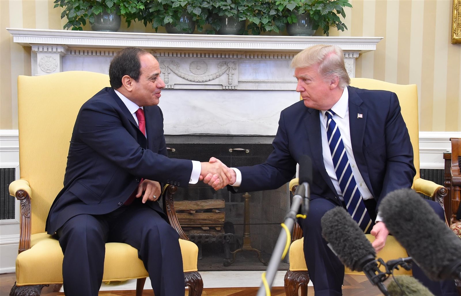 الرئيس السيسي وترامب الرئيس السيسي وترامب