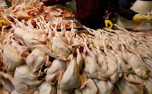 دواجن فاسدة (أرشيفية)