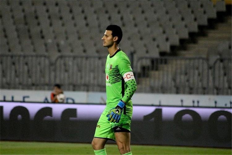  محمد الشناوي