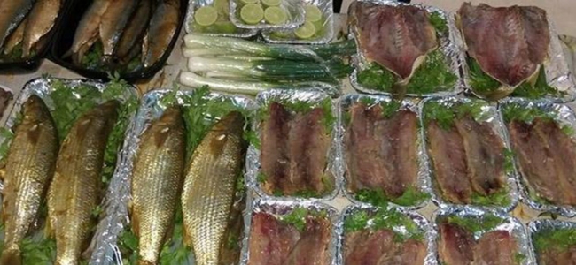 صورة أرشفية 