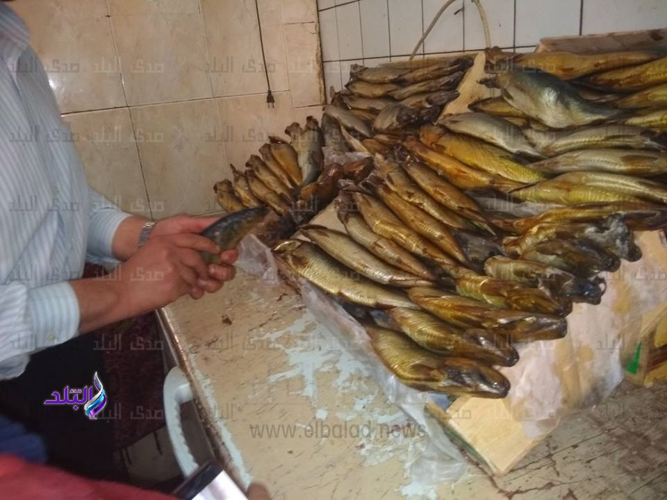 ضبط 11 طن دواجن وأسماك فاسدة بشرق شبرا الخيمة