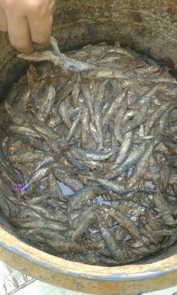 صورة من المضبوطات صورة من المضبوطات