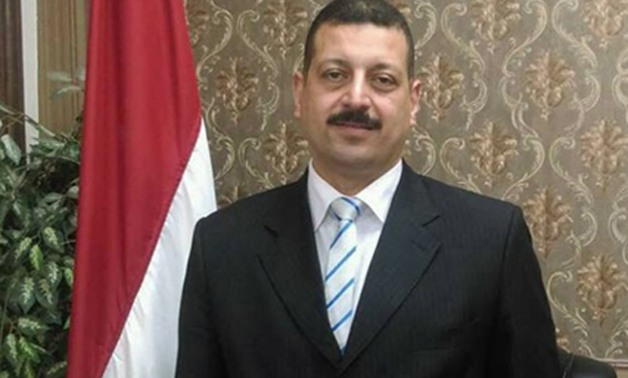 الدكتور أيمن حمزة المتحدث باسم وزارة الكهرباء