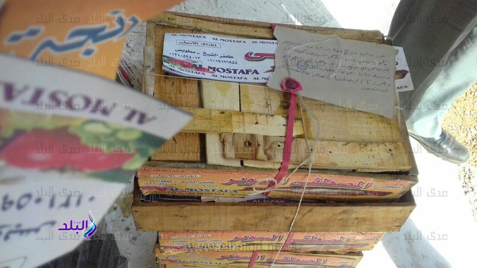 ضبط طن ونصف "رنجة " فاسدة في كفر الشيخ.. صور