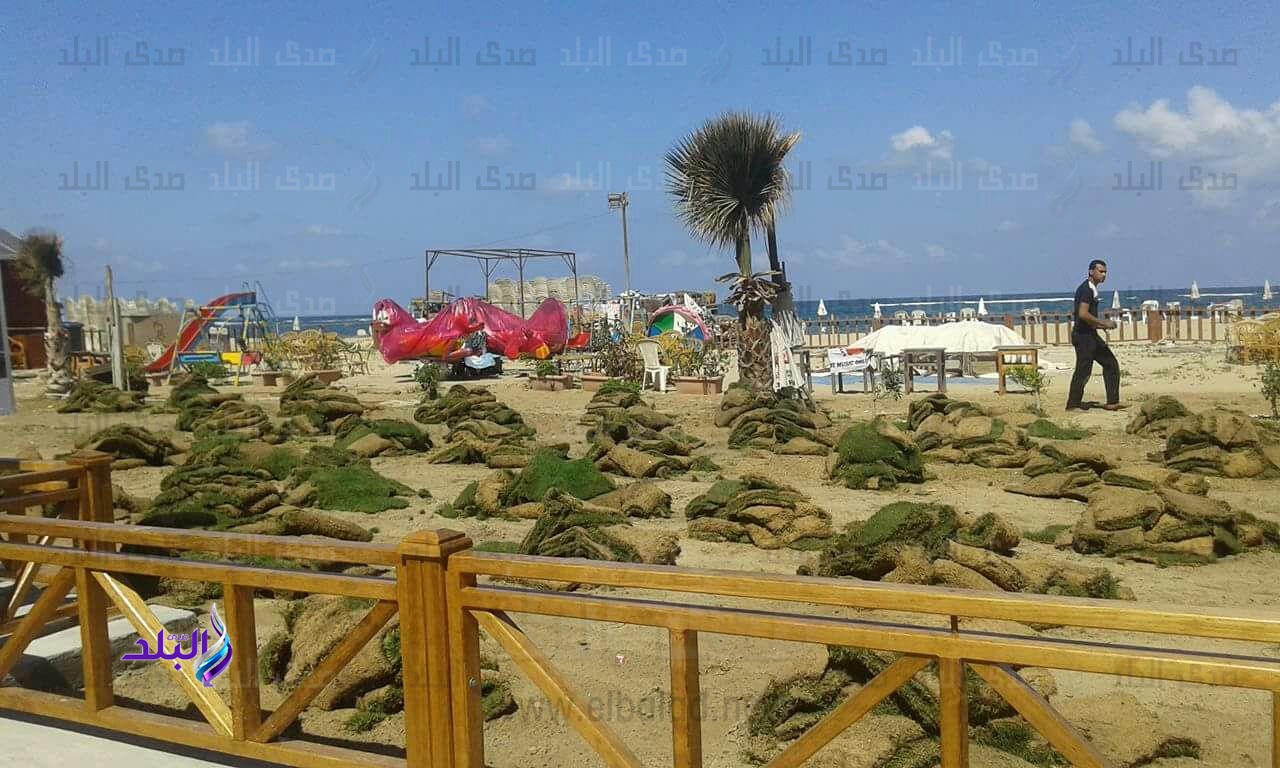 شاطئ بالإسكندرية شاطئ بالإسكندرية