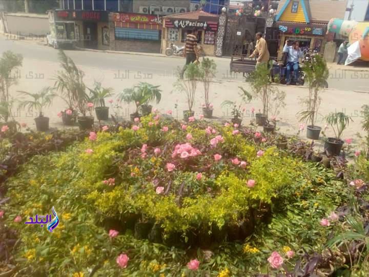  معرض للزهور ببنها