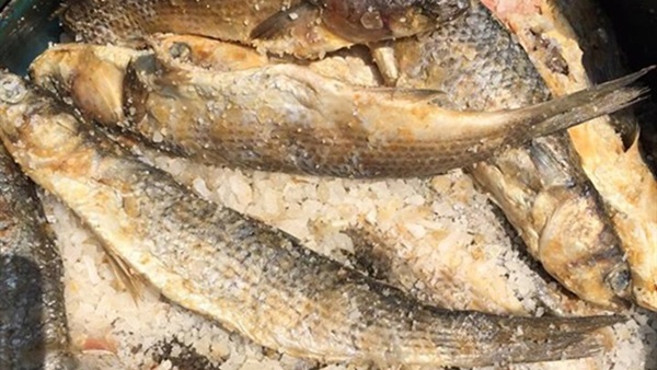 صورة أرشيفية - فسيخ