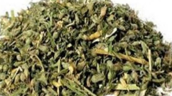 صورة أرشيفية - مخدر الفودو