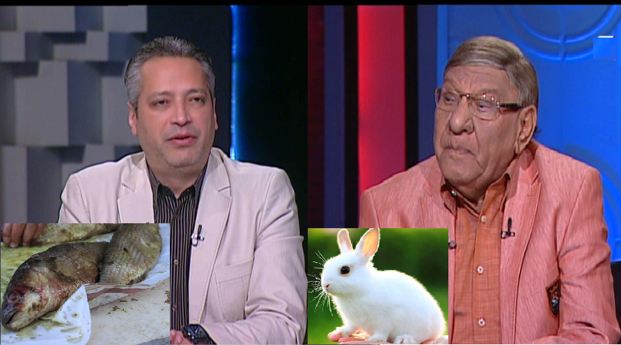 مفيد فوزي وتامر أمين