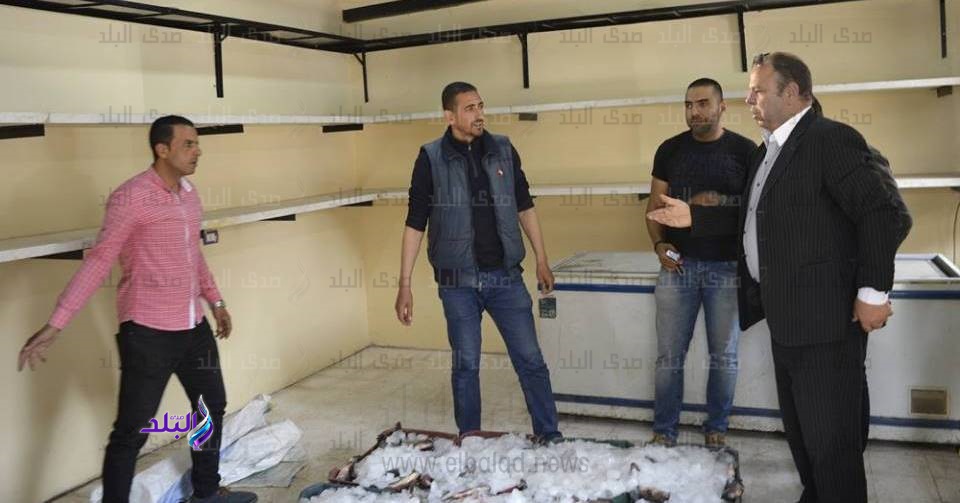 مساعد محافظ كفر الشيخ: أسماك "غليون" مصدر ثقة.. صور